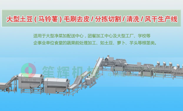 济源连续式土豆去皮清洗切割风干生产线